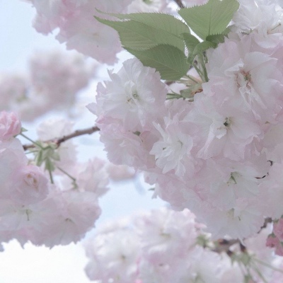 兽设毛发质感表现FurryQQ群